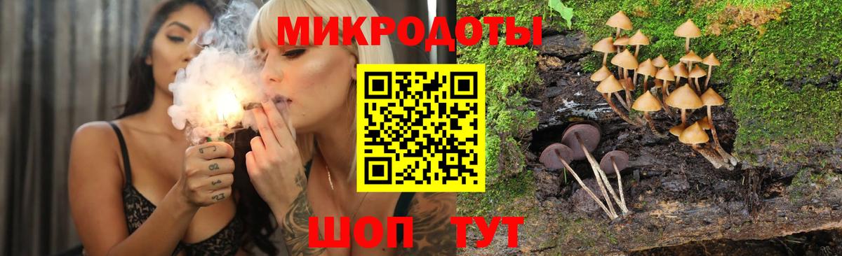 где купить наркотик  Псилоцибиновые грибы мицелий  Вход с VPN  Славгород 
